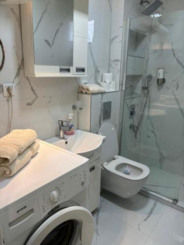 a bathroom with a washing machine and a toilet at Ivet Apartmets in Ledine