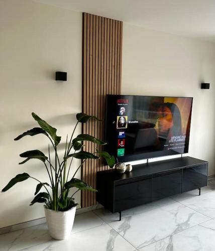 uma sala de estar com uma televisão e um vaso de plantas em Logement Woluwé em Bruxelas