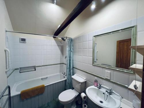 a bathroom with a toilet and a sink and a mirror at Little Owl Cottage in Saxmundham
