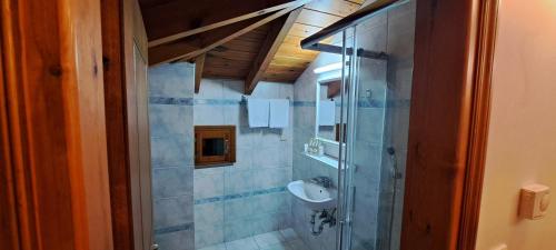 uma casa de banho com um lavatório e uma cabina de duche em vidro. em Archontiko Tzoumerkon em Agnanta