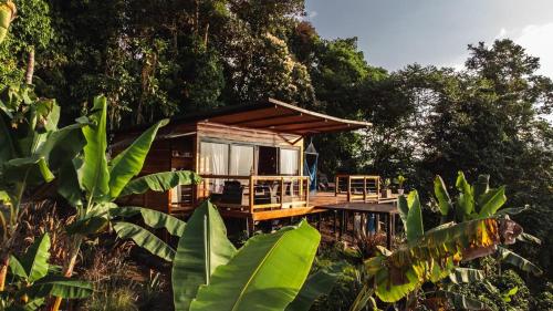 a small house on a dock in a forest at El Refugio in Quindío