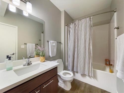 een badkamer met een wastafel, een toilet en een douche bij 2 Br Downtown Apartment With Gym & Hot Tub in Des Moines