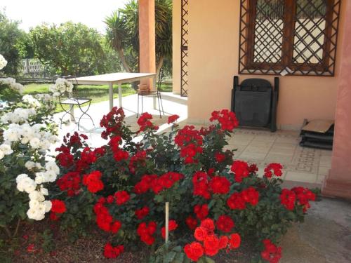 un montón de flores rojas y blancas en un patio en Villa Gabriella, en Villa San Pietro