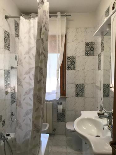La salle de bains est pourvue d'un lavabo et d'un rideau de douche. dans l'établissement Casa Vacanze La Carezza, à Montesilvano
