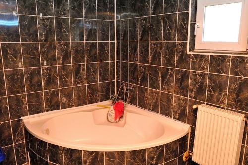 een badkamer met een wastafel en een tandenborstel bij Casa Cri și Ramo in Bradu