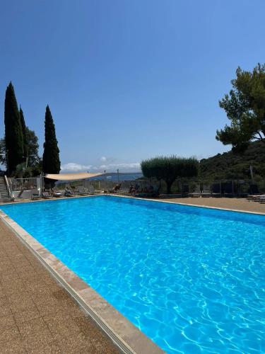 une grande piscine bleue dans un complexe dans l'établissement La maison Collines de Guerrevieille, à Sainte-Maxime