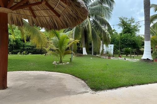 a field of grass with palm trees and a umbrella at Casa Las Palmas Playa La Saladita in Zihuatanejo