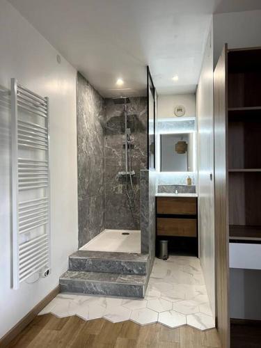 une salle de bain avec une douche à l'italienne et un lavabo dans l'établissement Venise Centre 4 Chambres Parking, à Reims