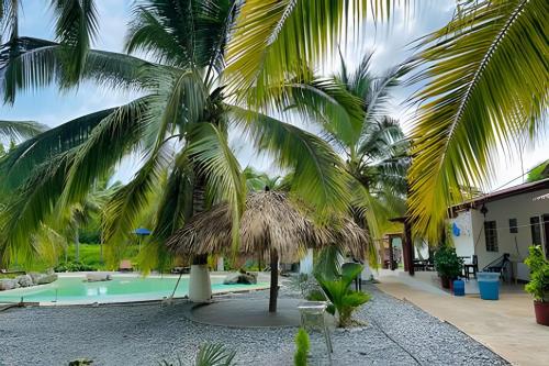 a palm tree in front of a swimming pool at Casa Las Palmas Playa La Saladita in Zihuatanejo