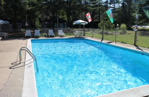 a large blue swimming pool with chairs and umbrellas at Pine Valley Cabins in Thornton