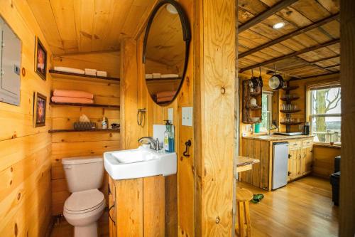 Clinton的住宿－The Cabin at Sunnybrook - Unit C，一间带水槽和卫生间的浴室