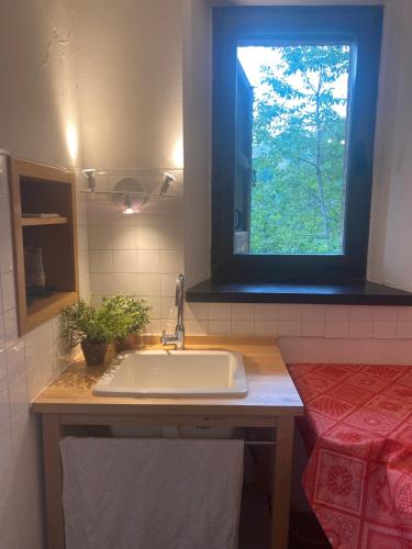 Casa StellaにあるMini appartamento carpinoのバスルーム(洗面台、窓付)