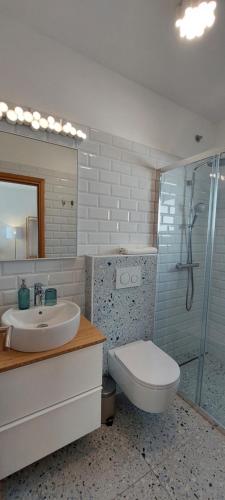 La salle de bains est pourvue de toilettes, d'un lavabo et d'une douche. dans l'établissement Vila Luka 2, à Hvar