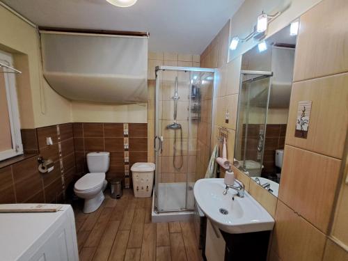 W łazience znajduje się prysznic, toaleta i umywalka. w obiekcie Dom drewniany z ogrodem w Szczecinku