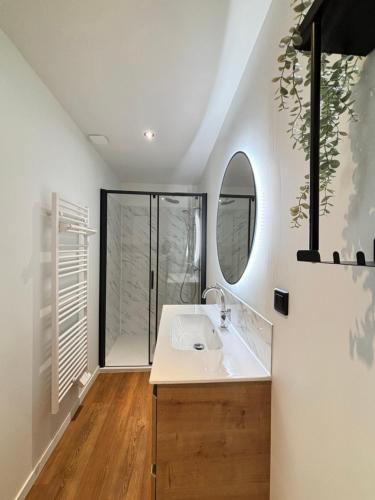 a bathroom with a sink and a mirror at Le Studio Bohème in Saint-Aignan