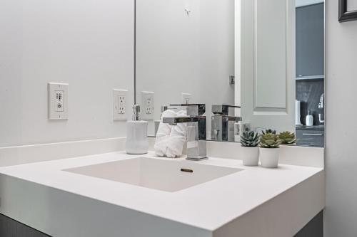 a bathroom with a white counter with a sink at Toronto Garden Apartments in Toronto
