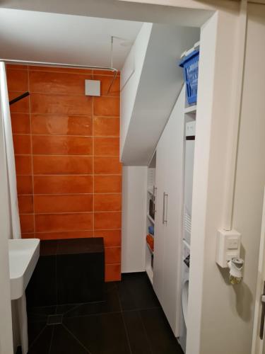 Vonios kambarys apgyvendinimo įstaigoje Vreneli