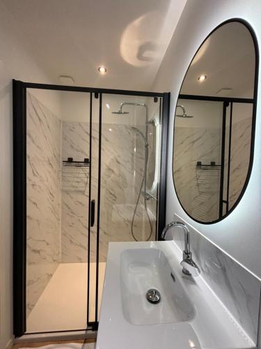 une salle de bain avec une douche, un lavabo et un miroir dans l'établissement Le Duplex Safari, à Saint-Aignan
