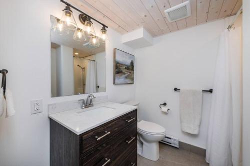 a bathroom with a sink and a toilet and a mirror at Gorgeous Muskokan Cottage on Six Mile Lake in Port Severn