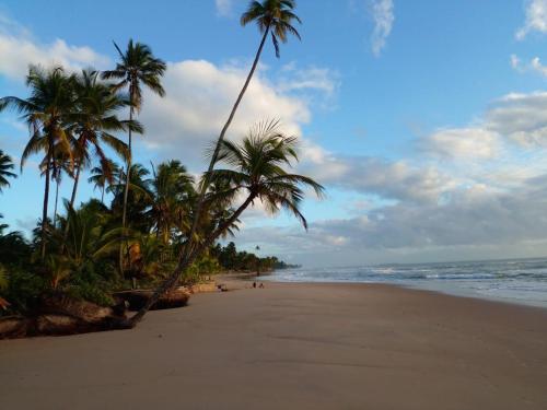 a sandy beach with palm trees and the ocean at D'Ajuda Flat Taipu Bangalôs in Taipu