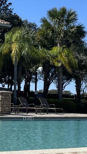 twee stoelen en palmbomen naast een zwembad bij Hillside House in Mount Dora in Mount Dora