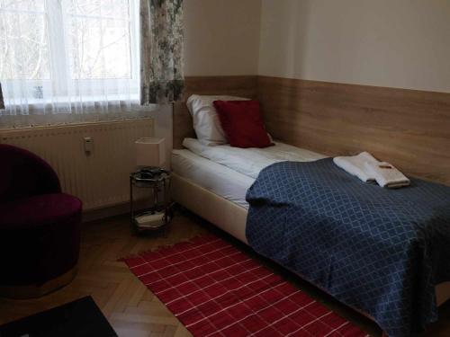 a bedroom with a bed and a window and a red rug at Eisenerzer Apartments - Radmeisterhaus in Eisenerz