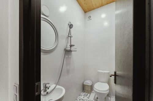 y baño con aseo, lavabo y espejo. en Nectar Villa Mukhadtskaro / ვილა ნექტარი მუხადწყარო en Mtskheta