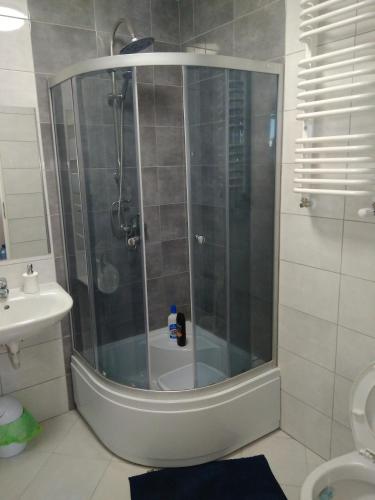 um chuveiro com uma porta de vidro na casa de banho em Studio - noclegi pracownicze , max 7 osób em Varsóvia