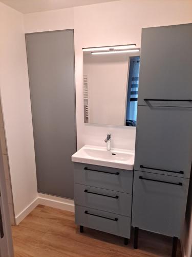 ein Bad mit einem Waschbecken und einem Spiegel in der Unterkunft logement T2 neuf - centre-ville in Parthenay