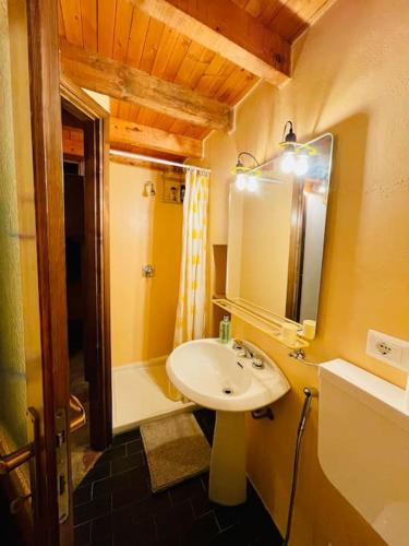 a bathroom with a sink and a shower at FANTASTI-Casa al Lago in Colonno