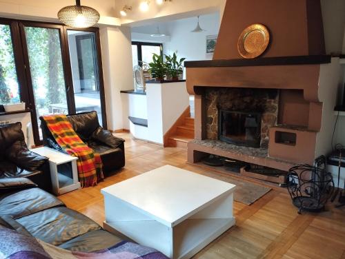 a living room with a couch and a fireplace at Nest 4 Rest in Konstancin-Jeziorna