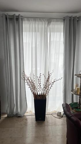 Φωτογραφία από το άλμπουμ του Ein charmanter Zweifamilienhaus στο Βερολίνο