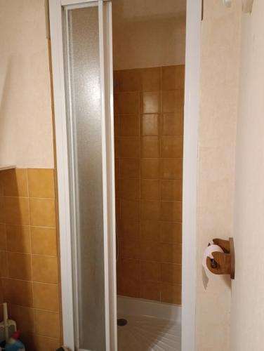La salle de bains est pourvue d'une douche et d'un rouleau de papier toilette. dans l'établissement Plage, port, Cap d'Agde, au Cap d'Agde