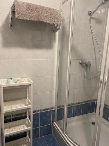 een badkamer met een douche en een wastafel bij Hévíz Tavirózsa Apartman in Hévíz