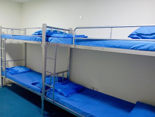 2 beliches num quarto com almofadas azuis em Hostel Friends Dubai no Dubai