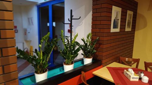 Gallery image of Korona Noclegi Cieszyn in Cieszyn
