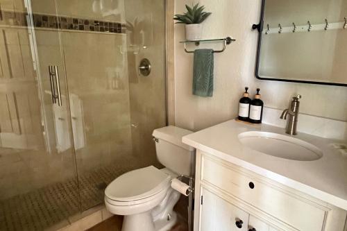 a bathroom with a toilet and a sink and a shower at Peaceful Retreat on Quiet Cove on Lake Travis in Lakeway