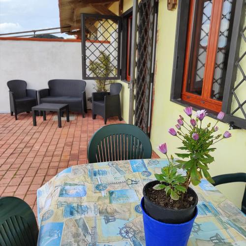 a table with a potted plant on a patio at Villa Genesia in Bacoli