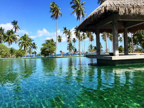 a swimming pool with palm trees and a gazebo at Club Agutaya in San Vicente