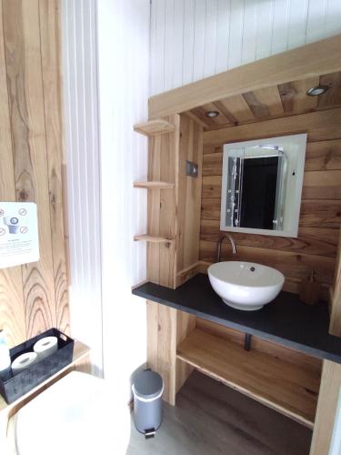 une salle de bain avec un lavabo et un miroir dans l'établissement Maison 10 personnes vue montagne, à Vallouise
