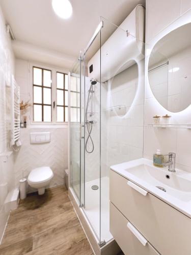 une salle de bain avec une douche, des toilettes et un lavabo dans l'établissement Paris Marais center cozy flat besides Notre Dame, à Paris