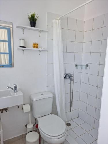 y baño blanco con aseo y ducha. en Panoramic View apartment, en Poros