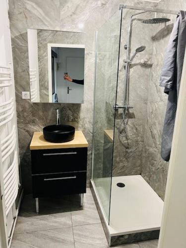 une salle de bain avec une douche, un lavabo et un miroir dans l'établissement Apparemment F3 Nancy, à Nancy