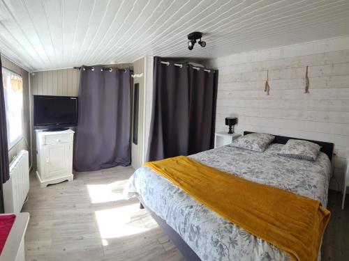 a bedroom with a bed with curtains and a television at Charmante maison rénovée avec jardin commun, proche plage et commerces, idéale pour 2 personnes - FR-1-426-509 in Saint-Vincent-sur-Jard