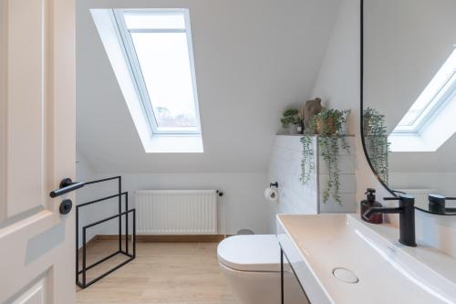 uma casa de banho com um WC, um lavatório e um espelho. em Bräist Hus em Bredstedt