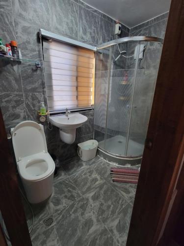 a bathroom with a toilet and a shower and a sink at Portofino Homestay in Malitbog