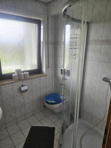 een badkamer met een douche, een toilet en een raam bij PREMIUM HOME 2 in Gottmadingen