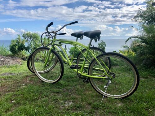 a green bike is parked on the grass at Maui Homestay in Tohautu