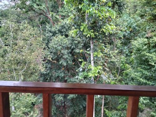 a wooden bench on a deck with trees in the background at On The Rocks Bungalows, Restaurant and Jungle Trekking Tours in Bukit Lawang