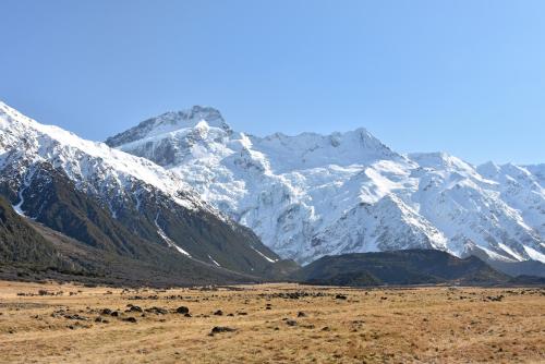a snow covered mountain range with animals in a field at Aoraki Court Motel in Mount Cook Village